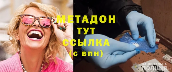 прущие грибы Дмитриев