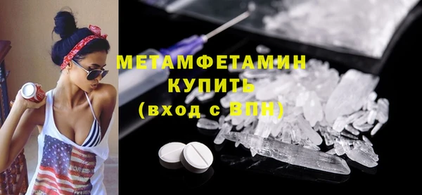 прущие грибы Дмитриев