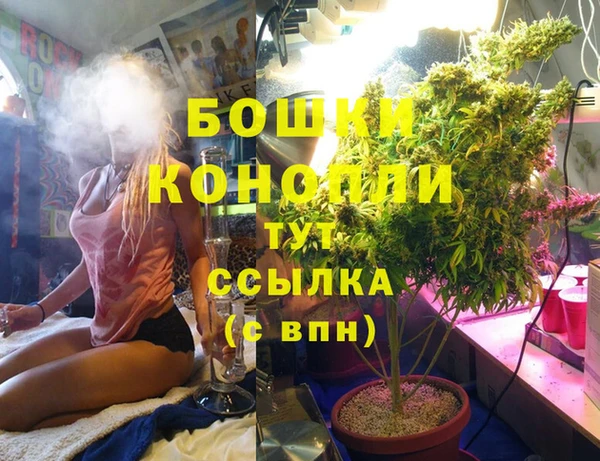 apvp Дмитровск