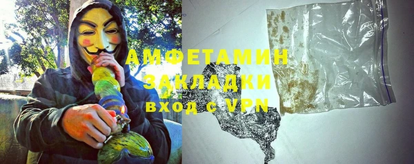 прущие грибы Дмитриев