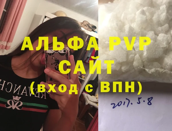 прущие грибы Дмитриев