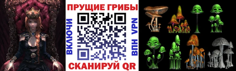 Галлюциногенные грибы прущие грибы Купить Чегем
