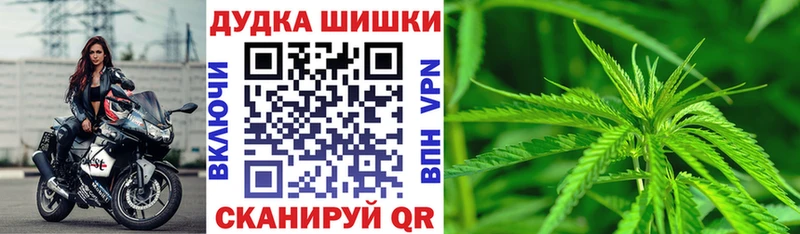 Конопля конопля Чегем