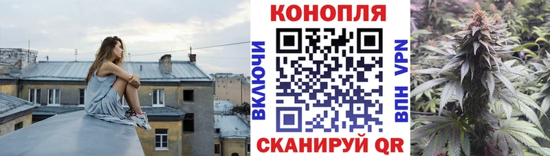 Купить где  Чегем  Бошки марихуана OG Kush 